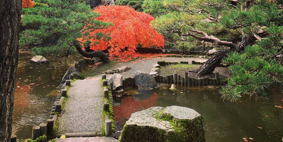 Highline SeaTac Botanical Garden, United States